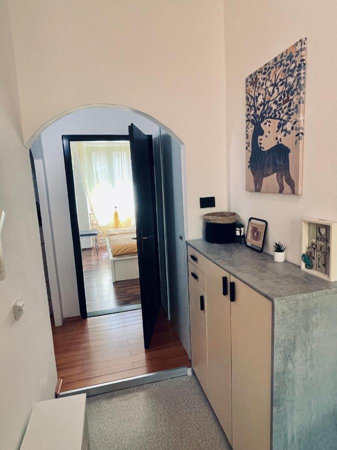 Apartman Three Queens 里耶卡 外观 照片